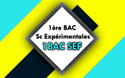 1BAC SEF