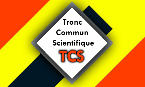 TCS – F